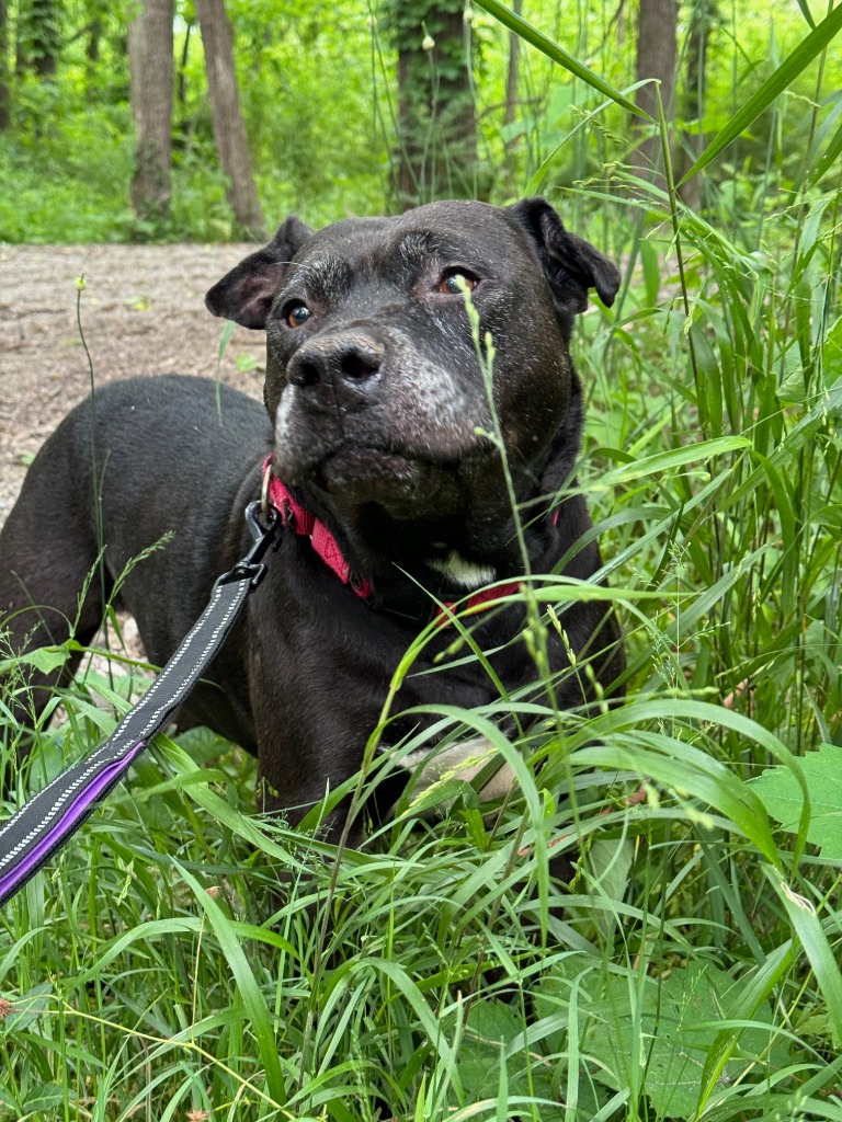 Harper the Most Terrific Fella