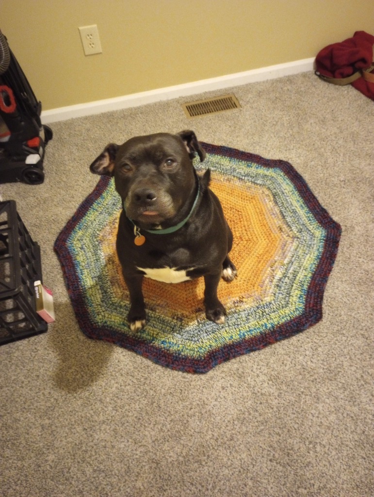 Harper the Most Terrific Fella