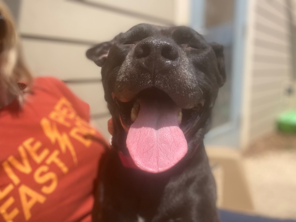 Harper the Most Terrific Fella