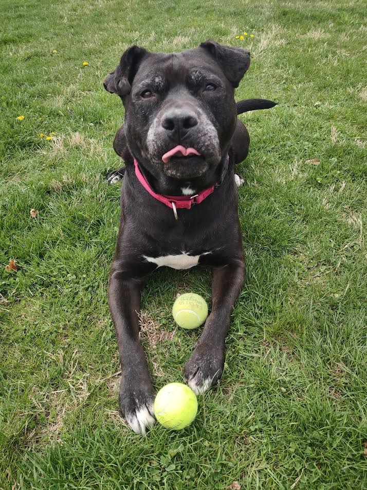 Harper the Most Terrific Fella