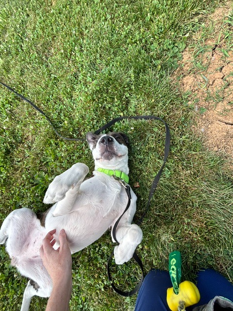 Doja