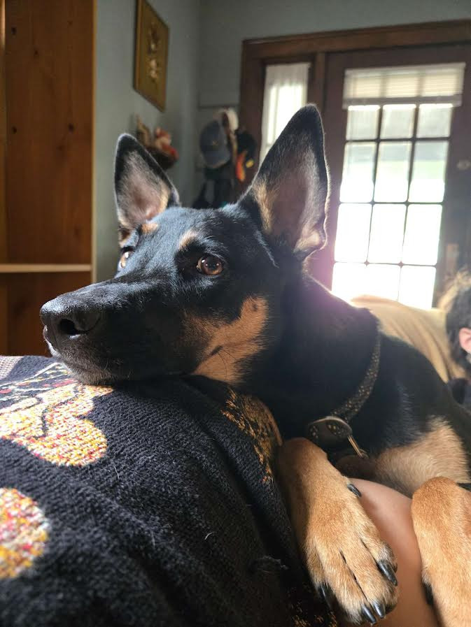 Darby