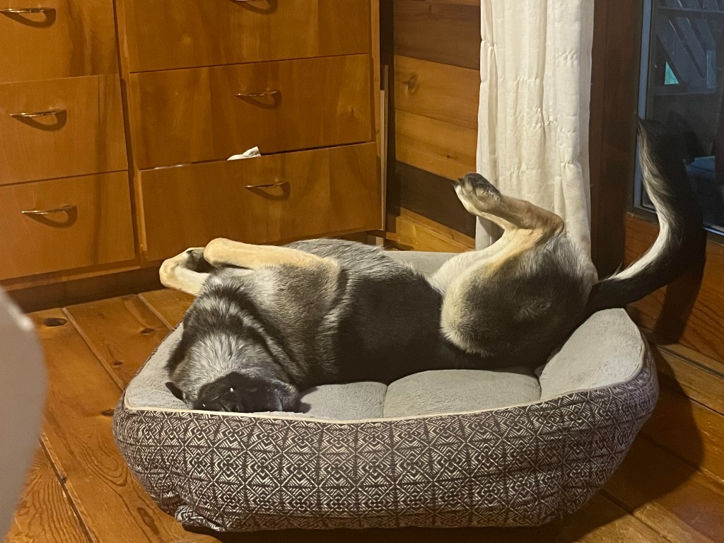 Leia & Stella