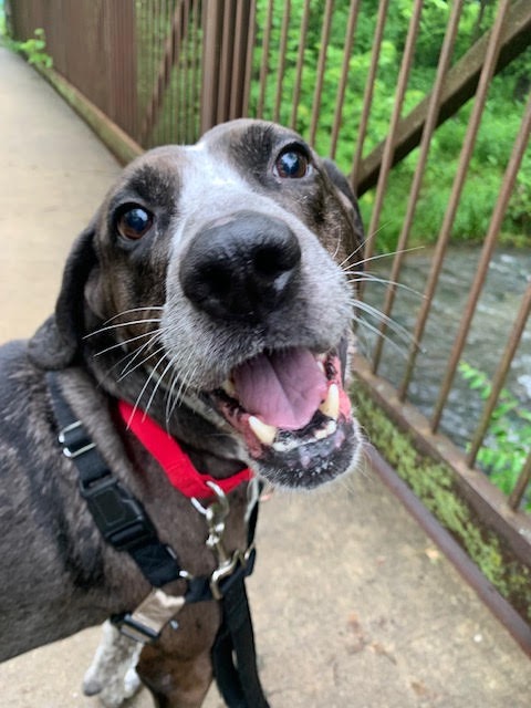 Milo