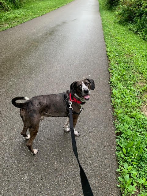 Milo