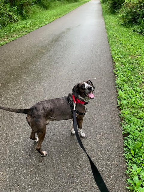 Milo