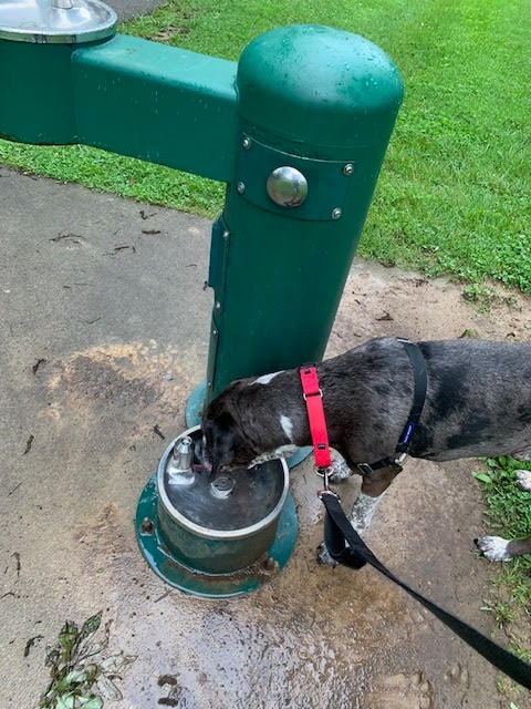 Milo