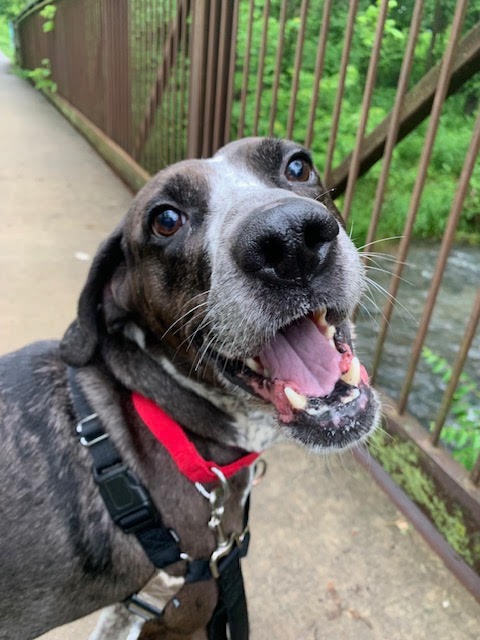 Milo