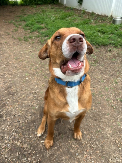 Roscoe