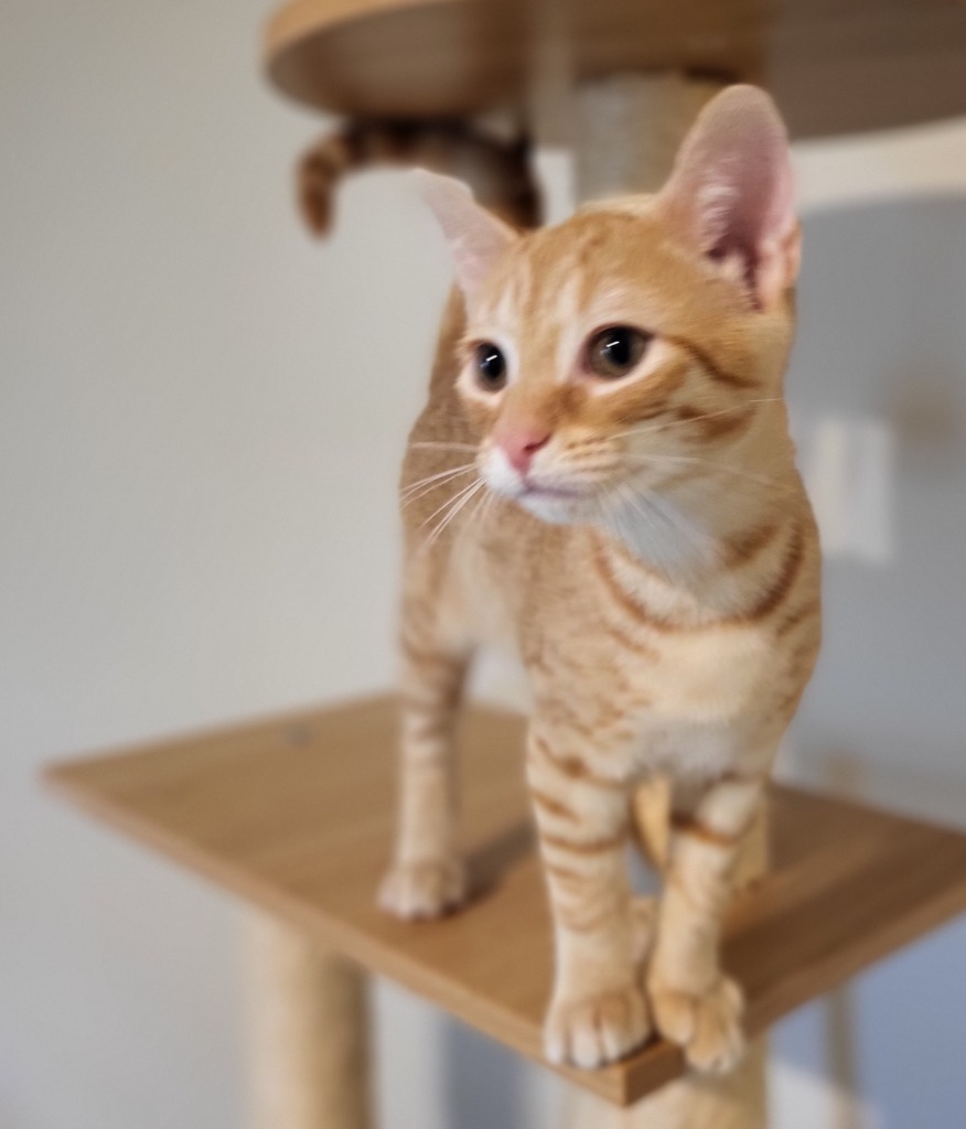 Rusty