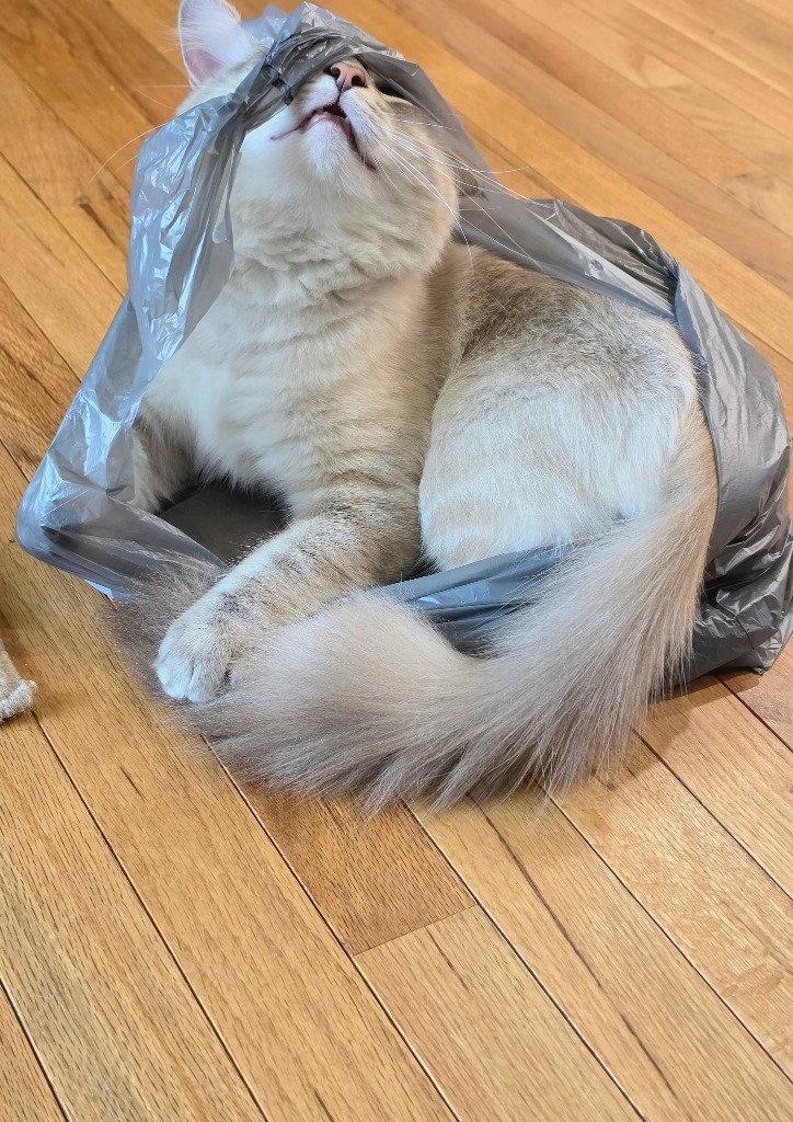 Milo