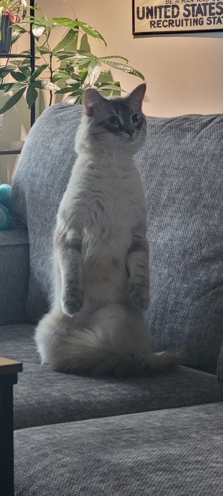 Milo