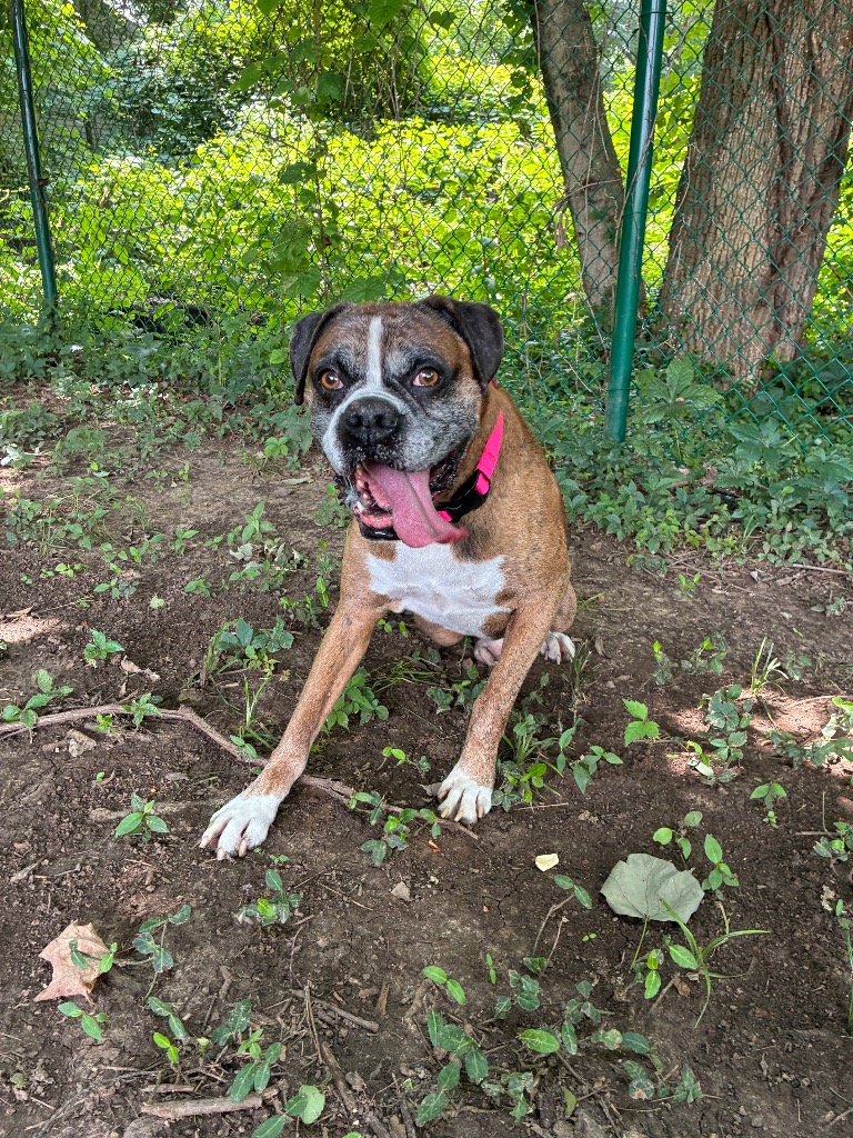 Ali