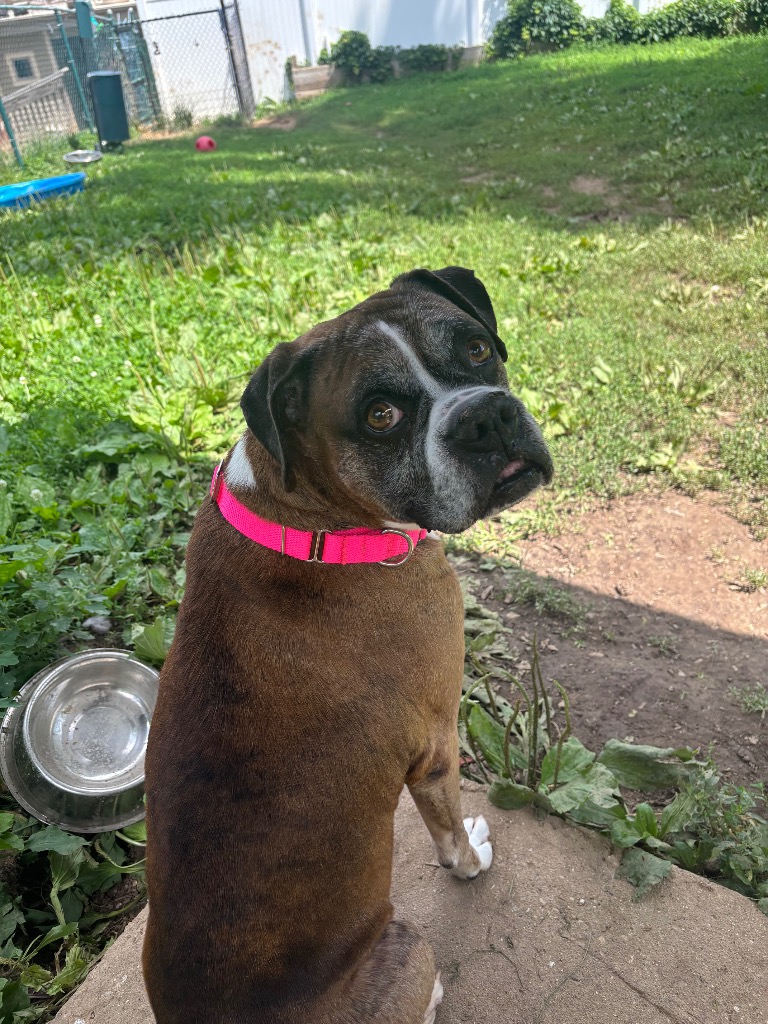 Ali
