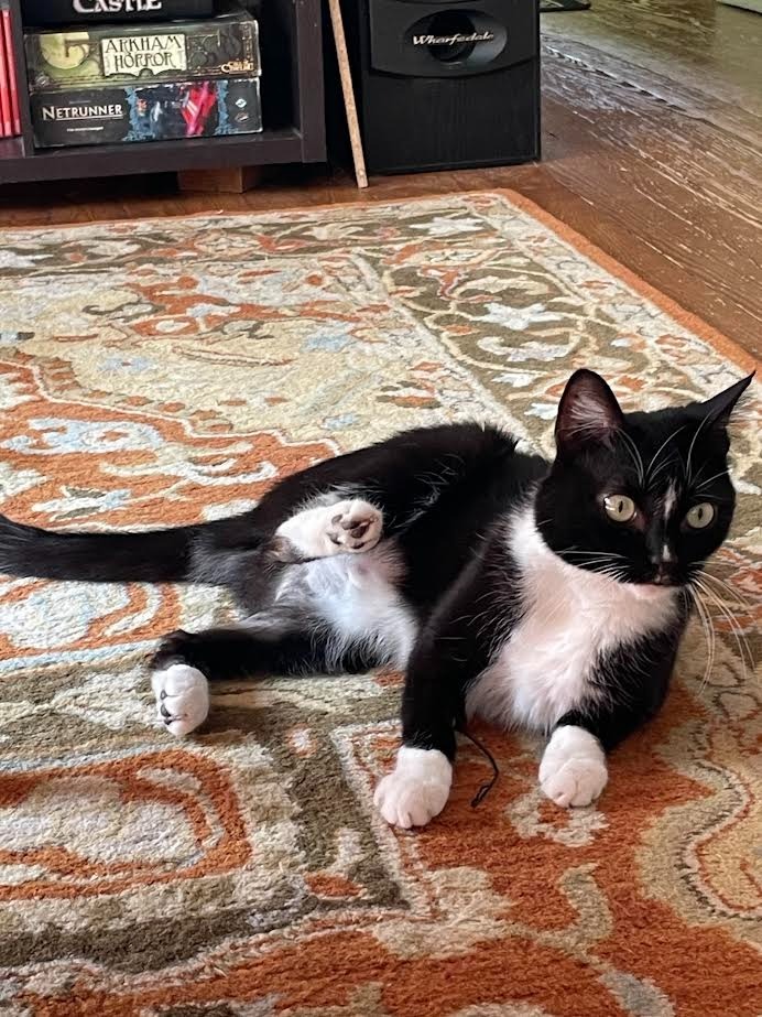Wilbur