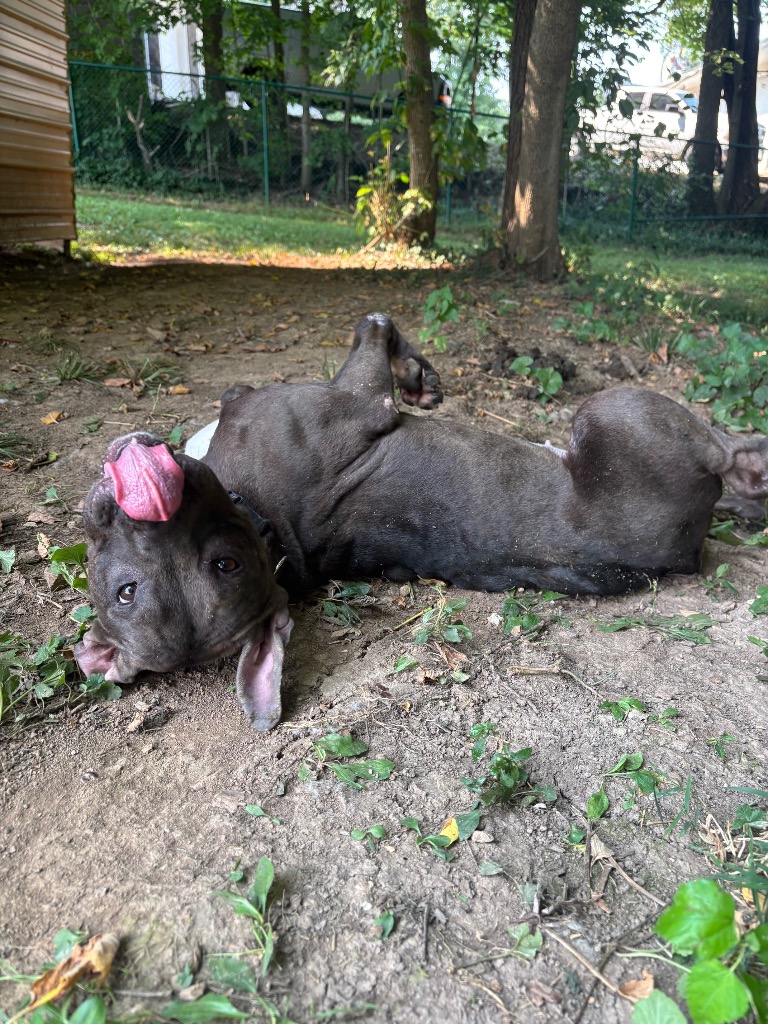 Deloris
