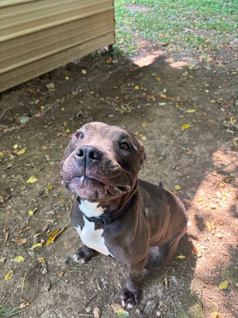 Deloris