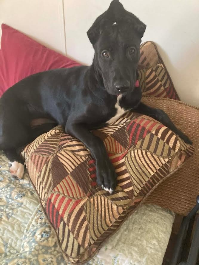 Bessie Mae