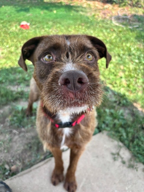 Tucker