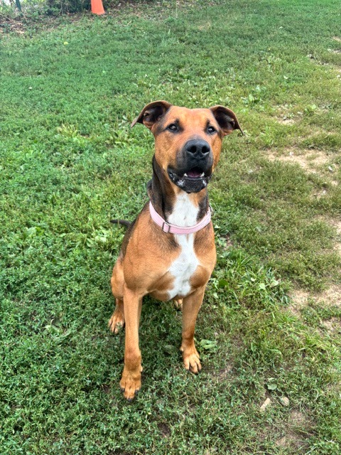 Jax