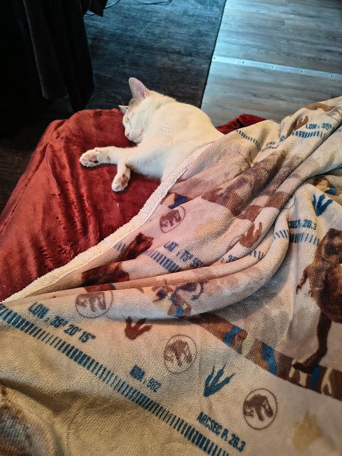 Luna