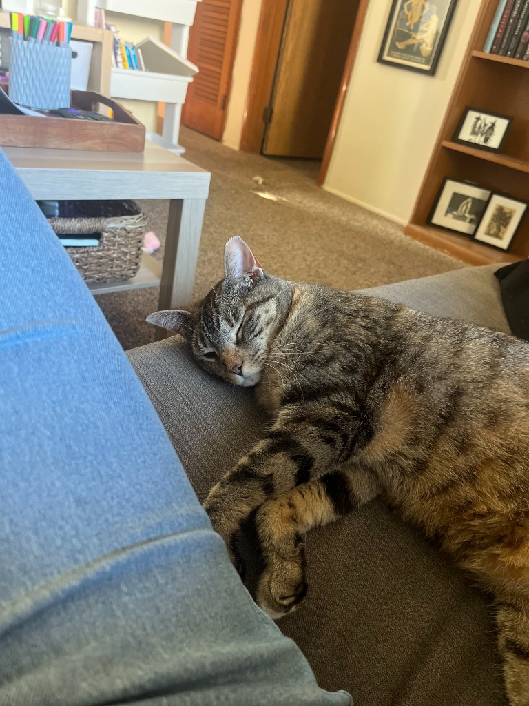 Vivian