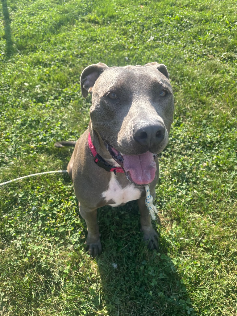 Sawyer