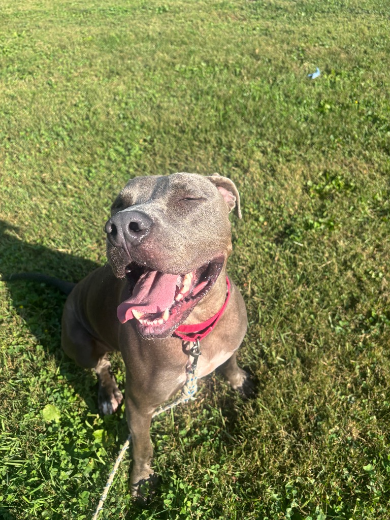 Sawyer