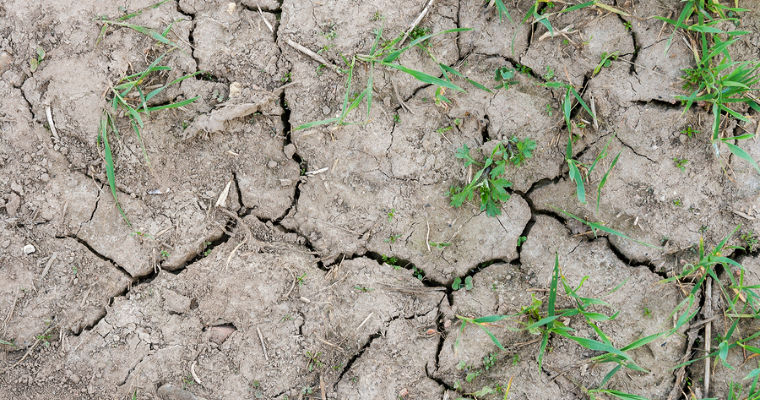 Cracks in clay soil due to excessive dryness