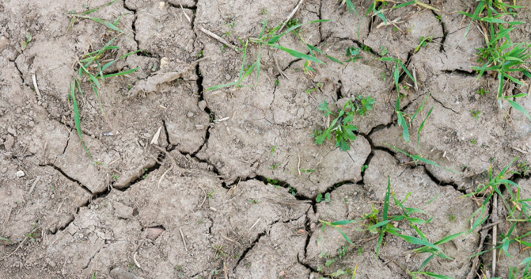 Cracks in clay soil due to excessive dryness
