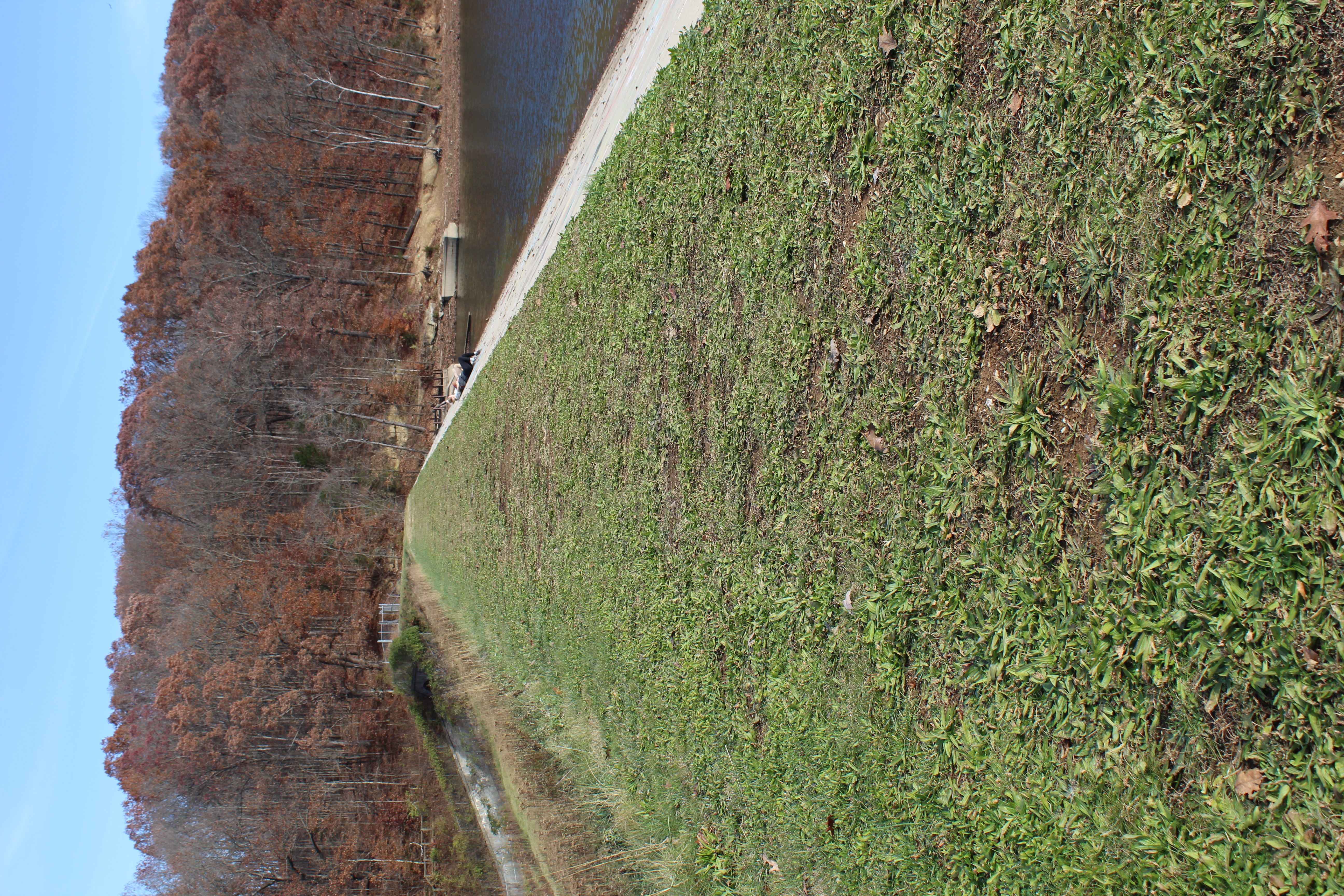 Griffy Loop Trail Dam