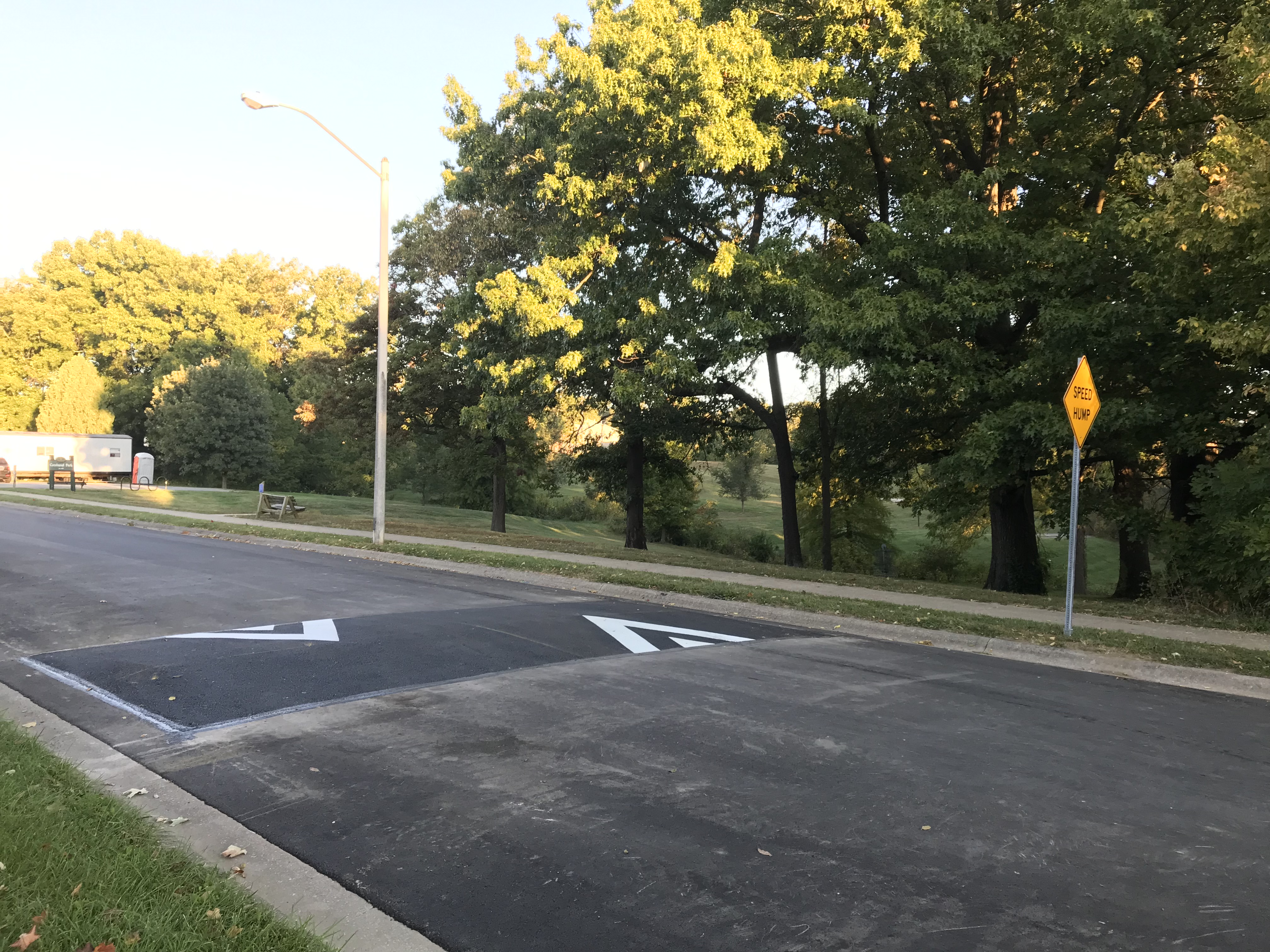 A daytime photo of a tree-lined street shows a speed cushion. The trees have green leaves and yellow leaves. 