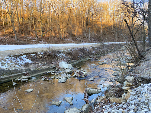 Cascades Creek Adopt a Stream content image