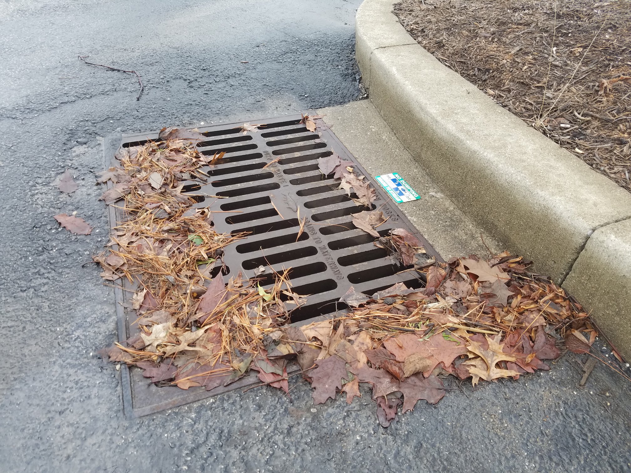 Adopt-a-Drain