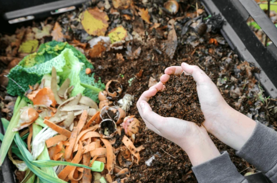 compost