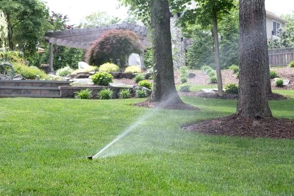 irrigation