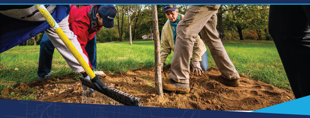Group of people planting a tree