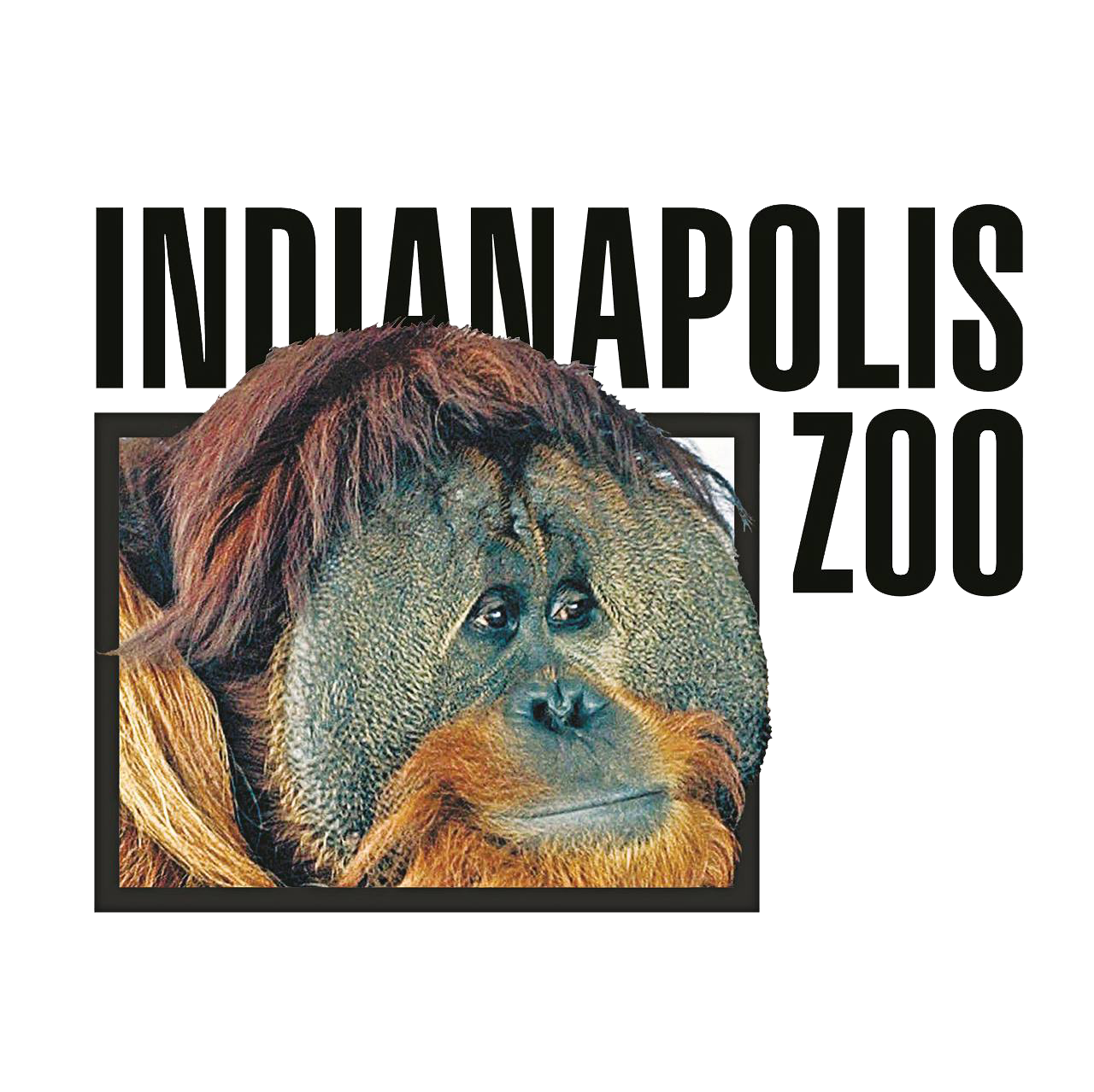 Indianapolis Zoo Logo