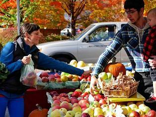 Olde Lane Orchard