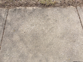 Sidewalk Segment