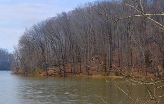 North shore of Griffy Lake with hardwood trees with no leaves, lake in foreground