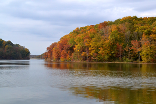 Fall forest and lake Griffy Lake Nature Preserve