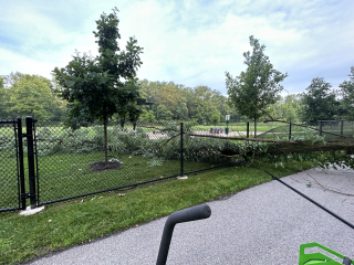 Fallen tree damage to fence