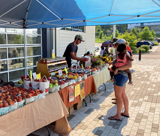 Peach and honey vendors selling farm products on brick plaza at Switchyard Park