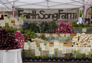 Earth SOng Farm's produce and plant stand at the market. Photo courtesy of Earth Song Farm Facebook profile