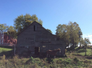 farm with horse