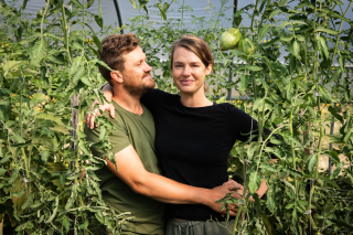 The Carpenters stand arm in arm, surrounded by tomato plants