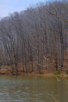 North shore of Griffy Lake with hardwood trees with no leaves, lake in foreground