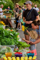 Image of two adults with small child holding a sunflower looking at a booth of vegetables