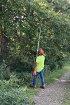 Tree trimming Bloomington Rail trail